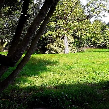 Vila Domaine De La Tranquillite V Noyal-Muzillac Exteriér fotografie