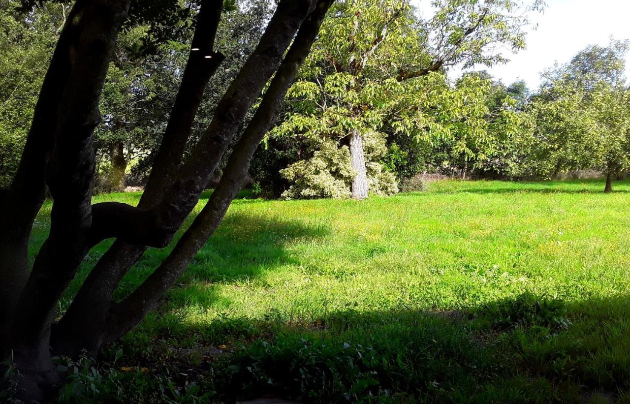 Vila Domaine De La Tranquillite V Noyal-Muzillac Exteriér fotografie